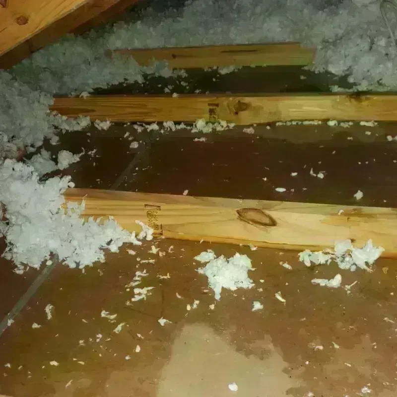 Attic Water Damage in Cibola County, NM